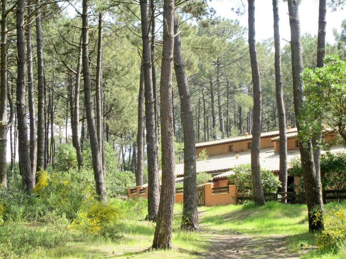Holiday Home Les Maisons De La Foret By Interhome ลากาโน ภายนอก รูปภาพ